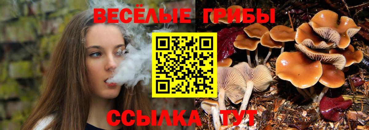 Псилоцибиновые грибы мухоморы Ревда