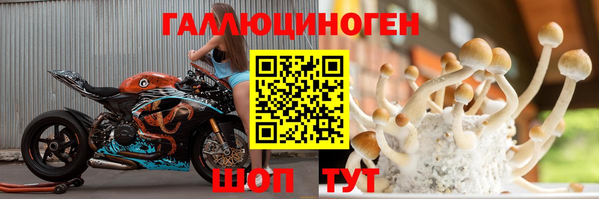 Галлюциногенные грибы Cubensis  Псилоцибиновые грибы мухоморы  Вход с VPN  Ревда 
